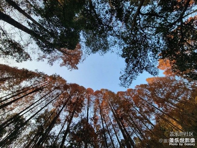 《每周星鲜事》 第90期:晒出2021你最难忘的照片