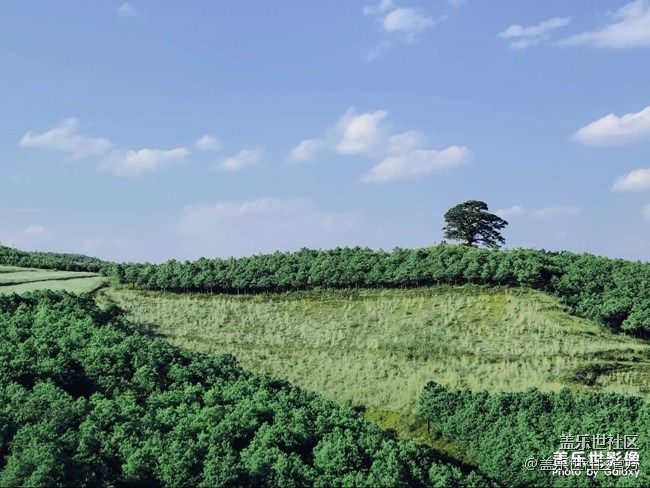 《每周星鲜事》 第90期:晒出2021你最难忘的照片