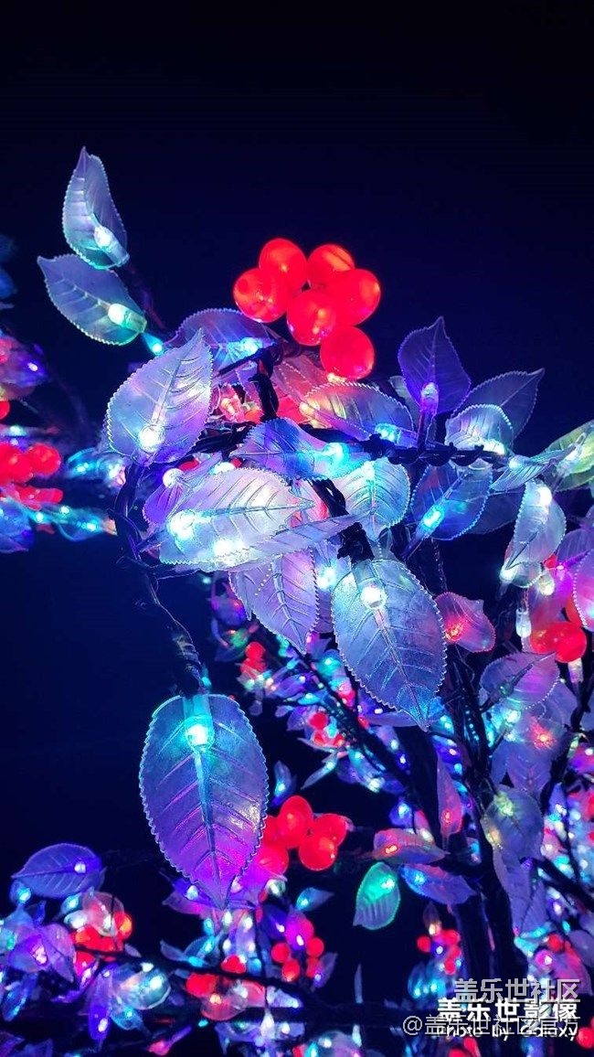 《每周星鲜事》 第90期:晒出2021你最难忘的照片
