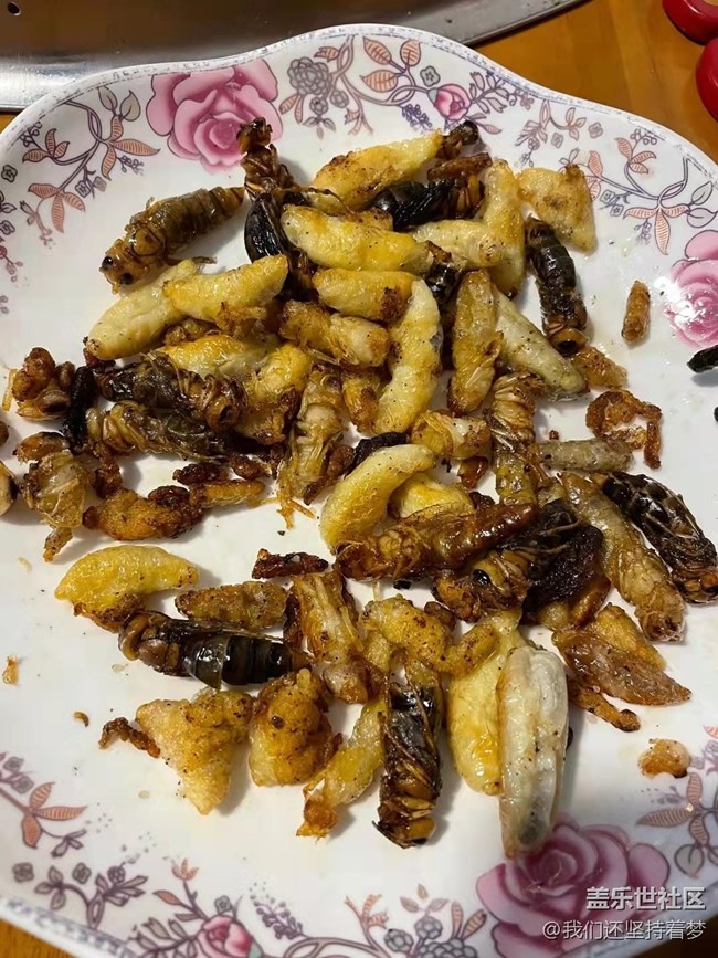 【冬季美食Get】好吃的蜂蛹