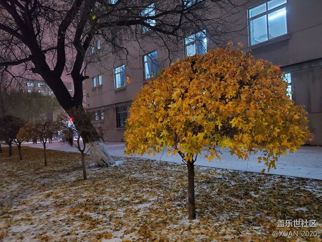 【冬日风情】＋2021年的第一场雪