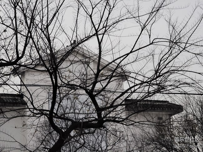 #2021留念——淡然的一年