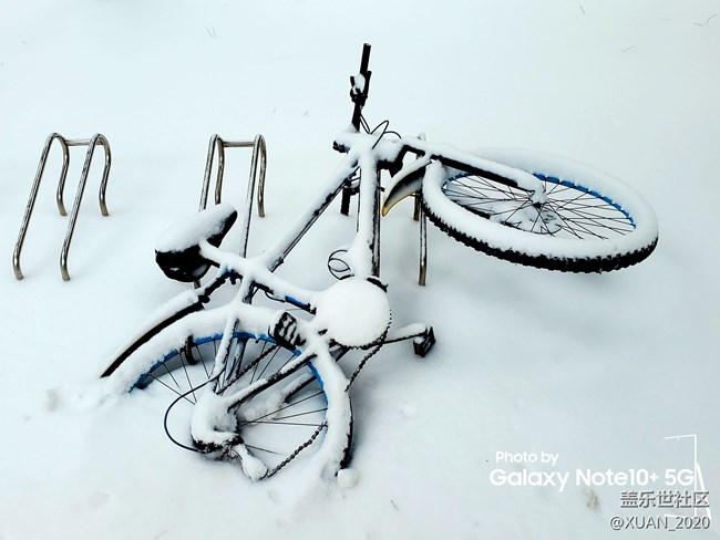 【冬日风情】＋2021年的第一场雪