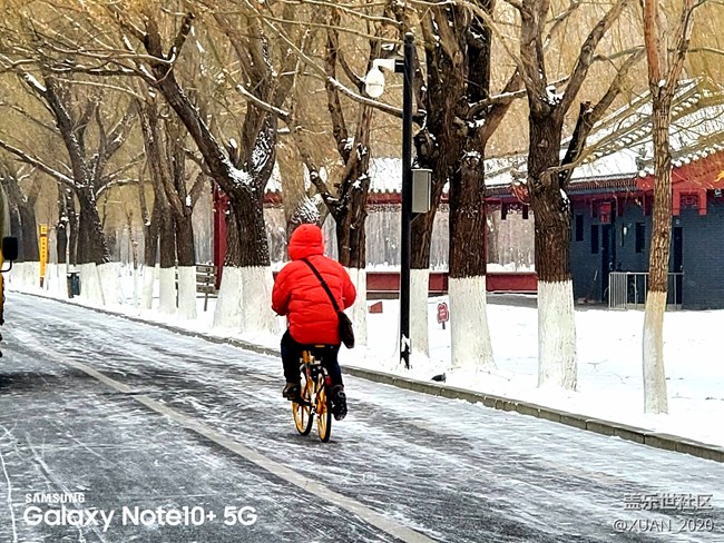 【冬日风情】＋2021年的第一场雪