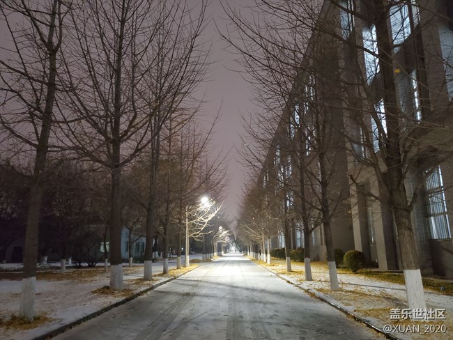 【冬日风情】＋2021年的第一场雪