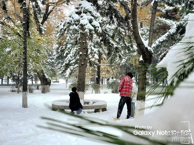 【冬日风情】＋2021年的第一场雪