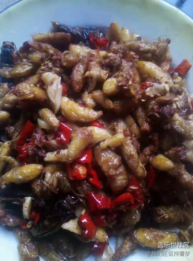 【冬季美食Get】好吃的蜂蛹