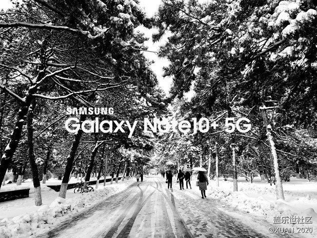 【冬日风情】＋2021年的第一场雪