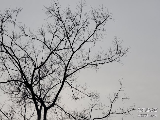 #2021留念——淡然的一年