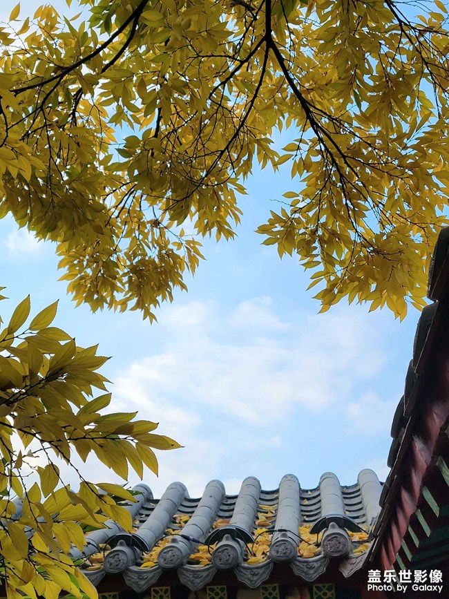 《每周星鲜事》 第91期:参加活动，即有好礼相送！