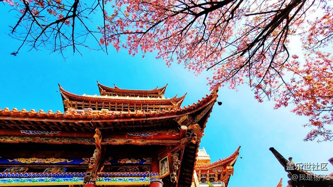 【美好回忆】+游大好河山，赏四季色彩