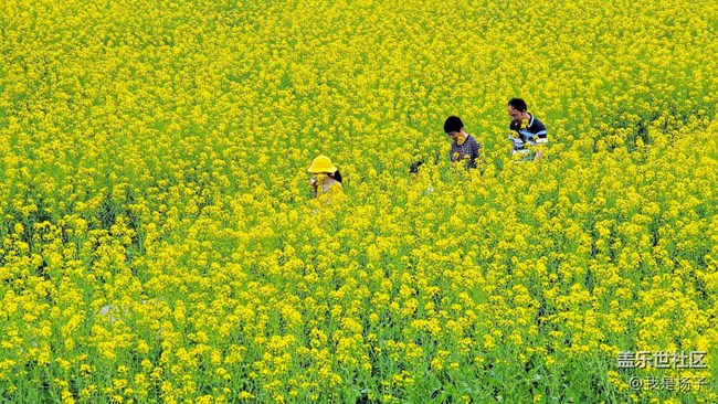 【美好回忆】+游大好河山，赏四季色彩