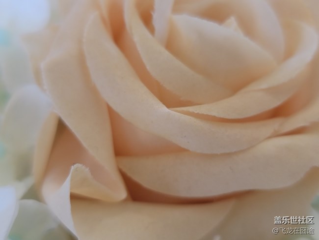 #2021留念——花开富贵