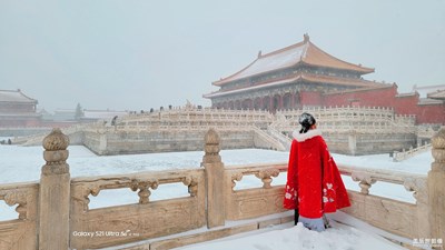 【难忘2021】 一年又一年