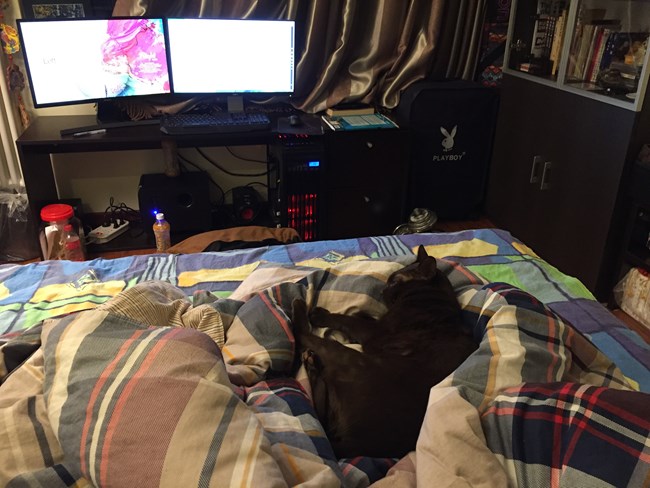 【圣诞日常】圣诞小怪物