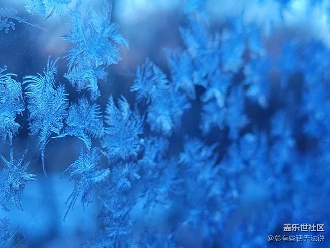 【冬日风情】窗花
