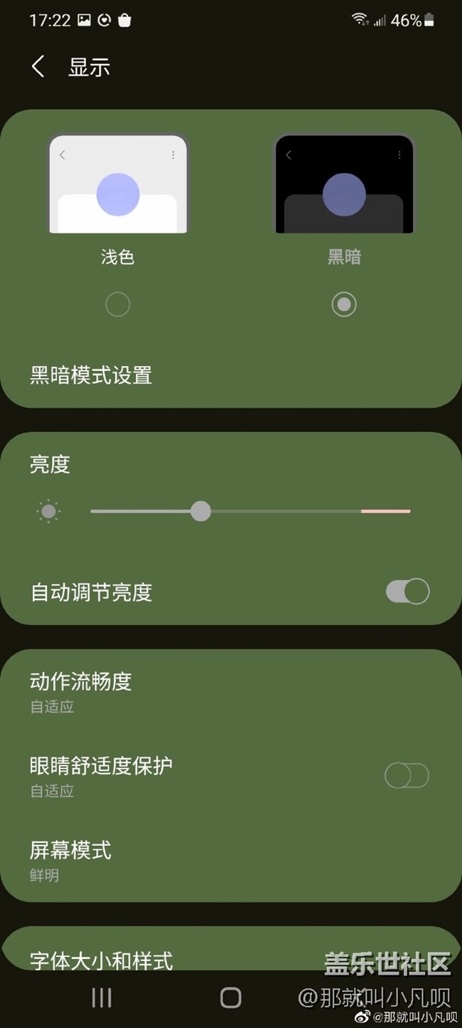 关于S21系列【辅助功能】