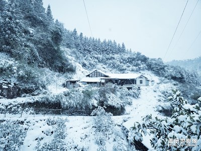 下雪了！