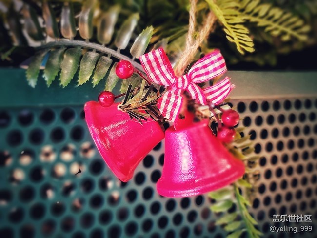 【2022新星愿】+天天快乐