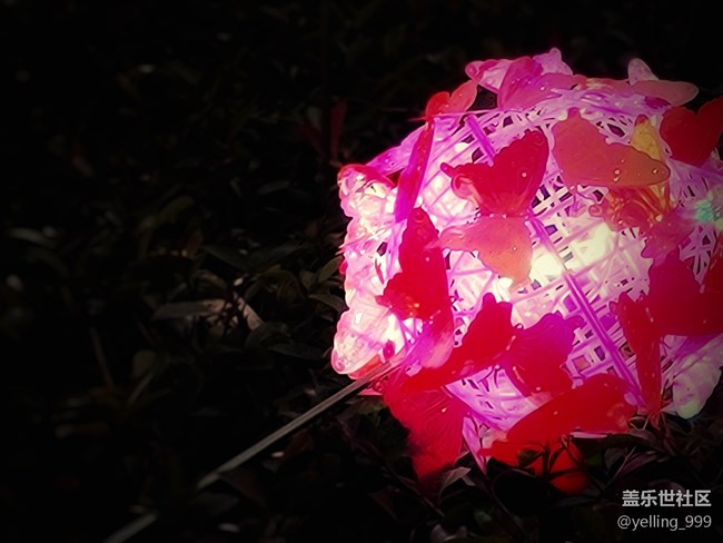 【2022新星愿】+天天快乐