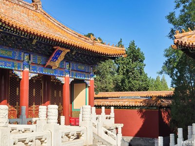 已开奖【盖乐世影像周赛第223期】——色彩