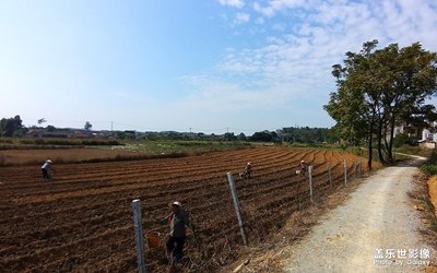 乡村随拍