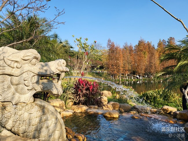 【Galaxy Z系列手机星粉体验团】三星Z Flip3轻体验