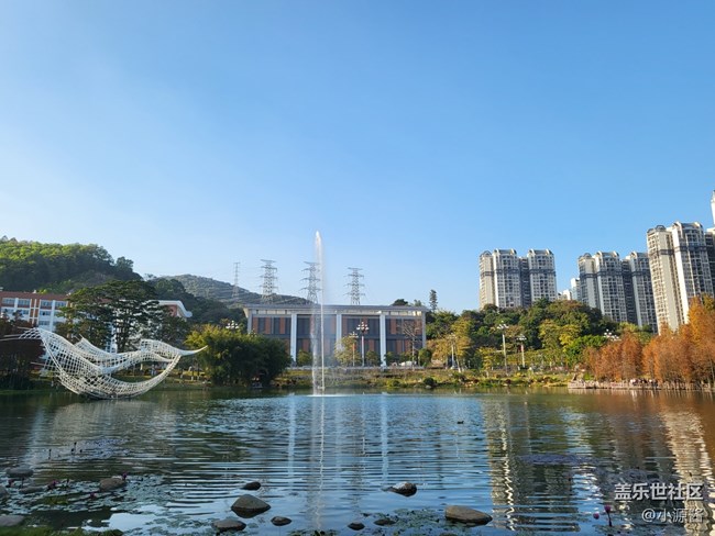 【Galaxy Z系列手机星粉体验团】三星Z Flip3轻体验