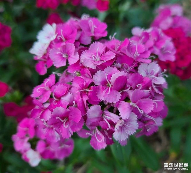 《每周星鲜事》 第94期: