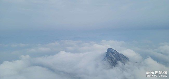 《每周星鲜事》 第94期: