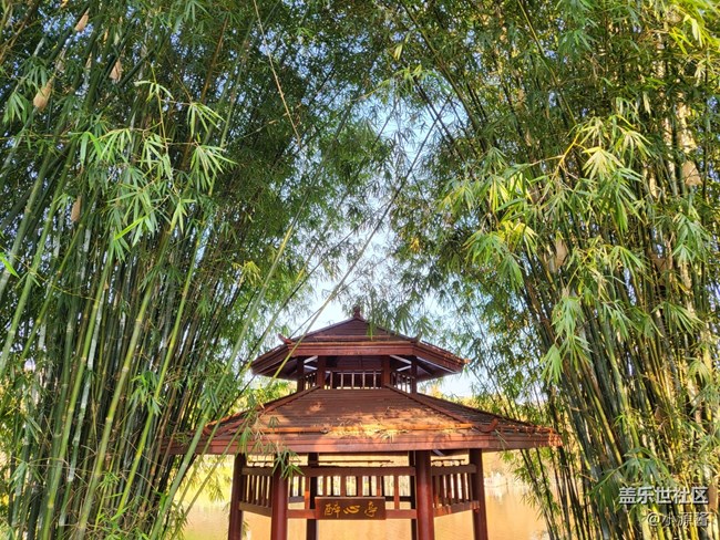 【Galaxy Z系列手机星粉体验团】三星Z Flip3轻体验