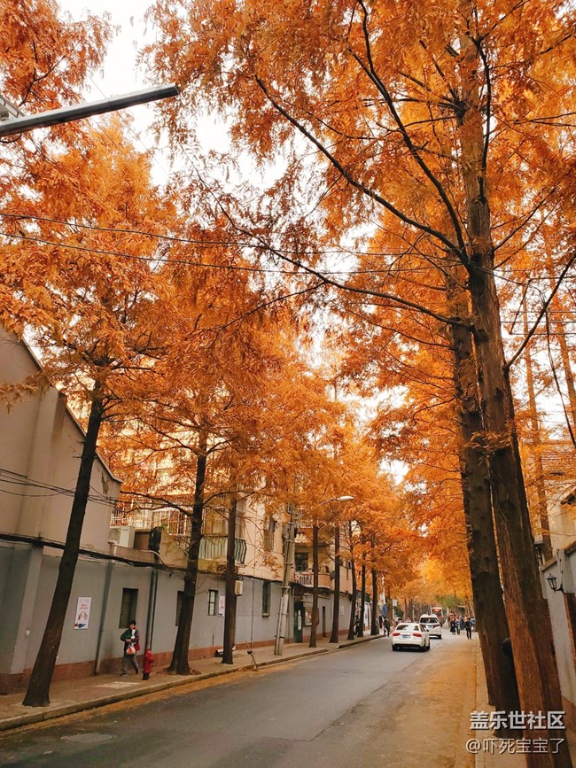 【双旦季】12月的上海充满了爱的欢喜