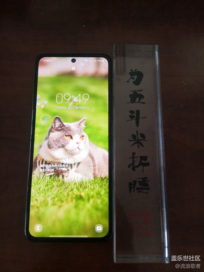 【Galaxy Z系列手机星粉体验团】指间方寸之间的曼妙