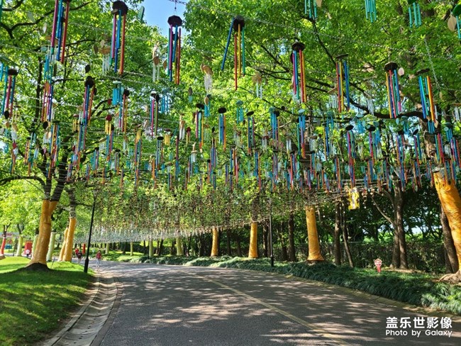 绿洲风铃