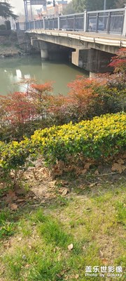 桐径公园