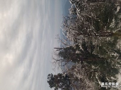 【发现之美】+登高会雪