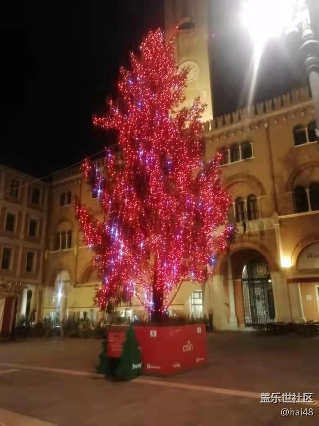 【新年日常分享】