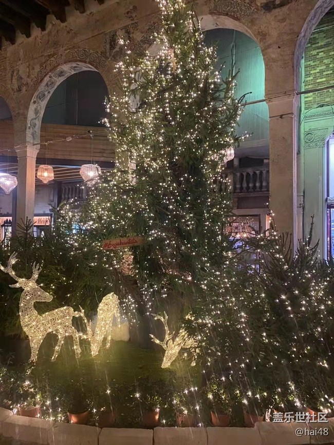 【新年日常分享】