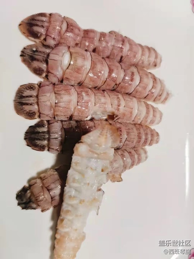 【春节美食】自己生日