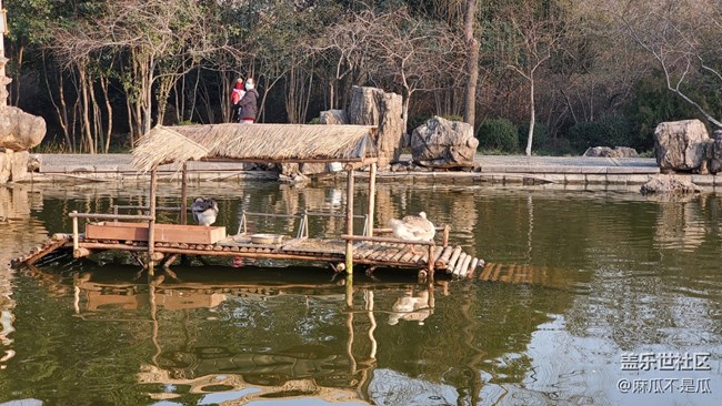 【新年日常分享】+新年逛公园