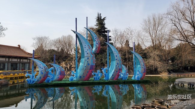 【新年日常分享】+新年逛公园