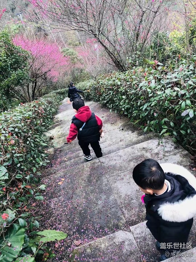 【家乡年味】春节带娃