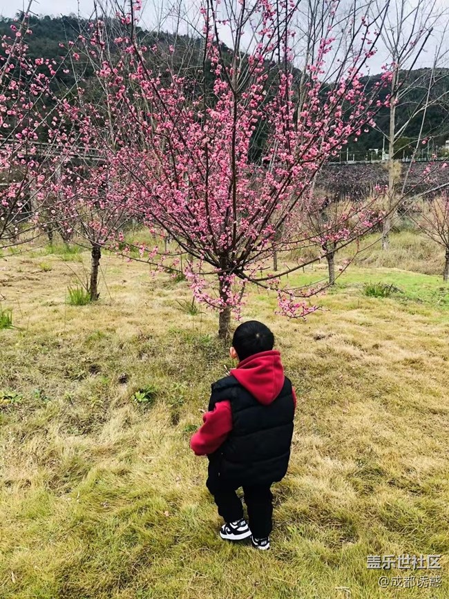 【家乡年味】春节带娃