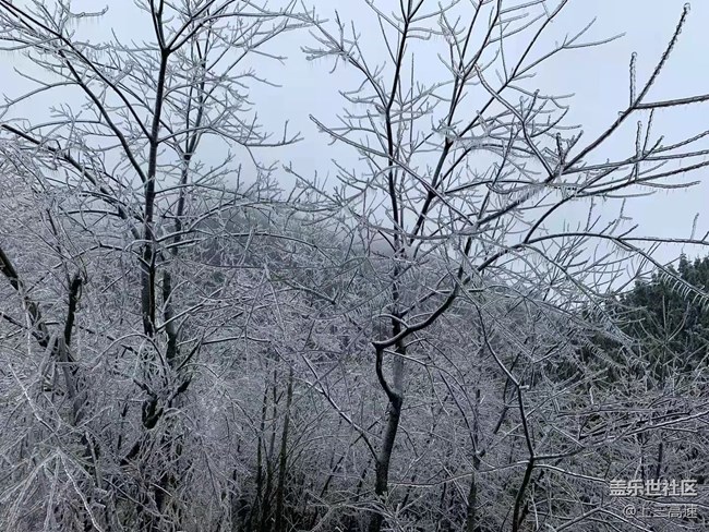 【家乡年味】赏雪
