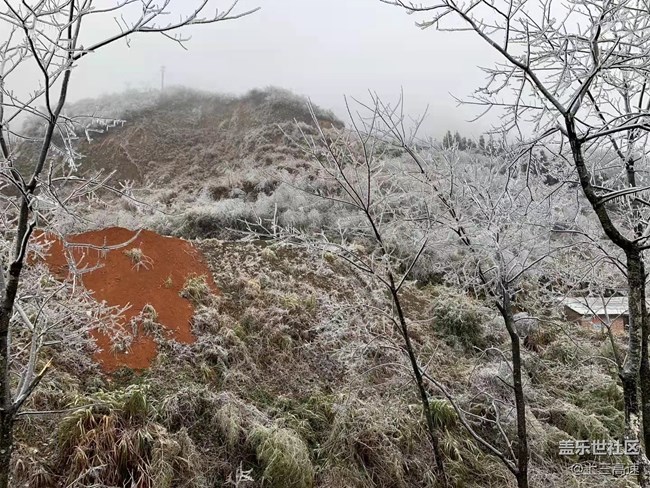 【家乡年味】赏雪