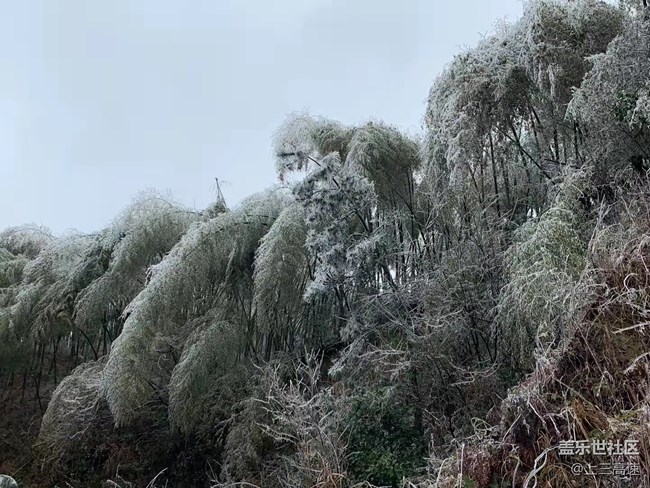 【家乡年味】赏雪