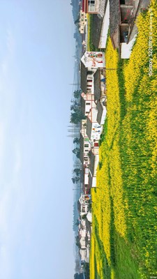 [街头]＋乡下的田野