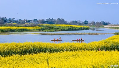 逛在春风里