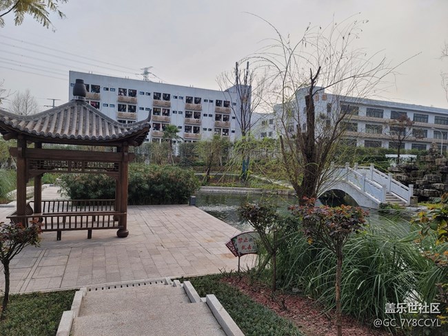 春日风景，街景随拍，纯属分享