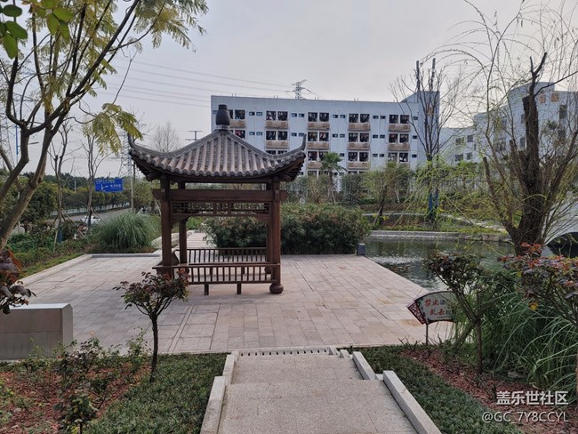 春日风景，街景随拍，纯属分享
